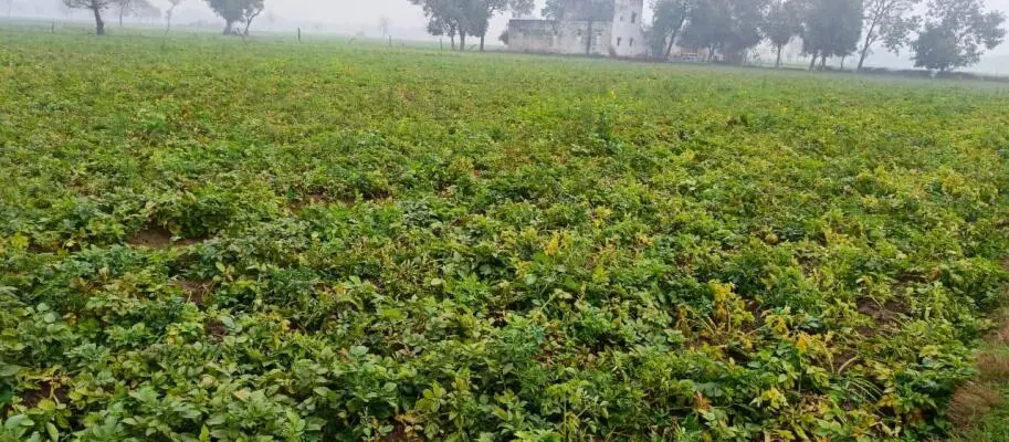Ladli-govindvan-plots-vrindavan-mathura-highlights