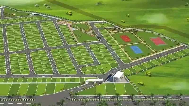 Pareena DDJAY Plots