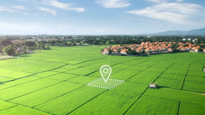 Roof-vedmaan-sector-27-jhajjar